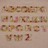 Resina Fuguang 26 letras em inglês estilo flor seca logo DZ artesanato em resina acessórios para chaveiro diy