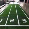 Pasto de Gimnasio Funcional con Escala Tapete Deportivo Alfombra Estudio Aula Privada Pista Interior Césped Impermeable