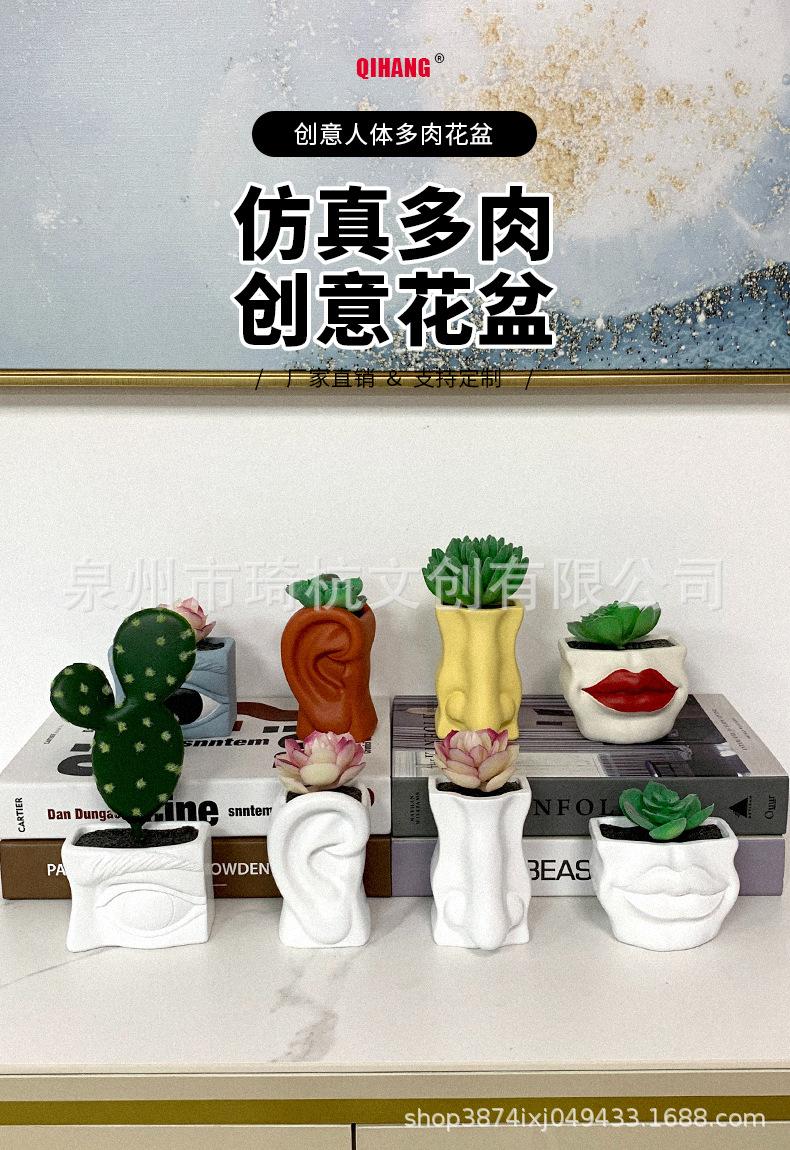 多肉_02.jpg