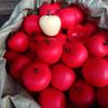 Juego Divertido de Cortar Frutas y Verduras Despegables a Granel Transfronterizo Juguete de Cocina para Jugar a las Comiditas con Simulación de Fruta Durian