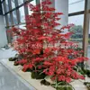 Árbol de simulación árbol de simulación Árbol de Banyan árbol artificial planta de simulación de tamaño grande y mediano decoración adornos de utilería para sets de filmación de cine y televisión