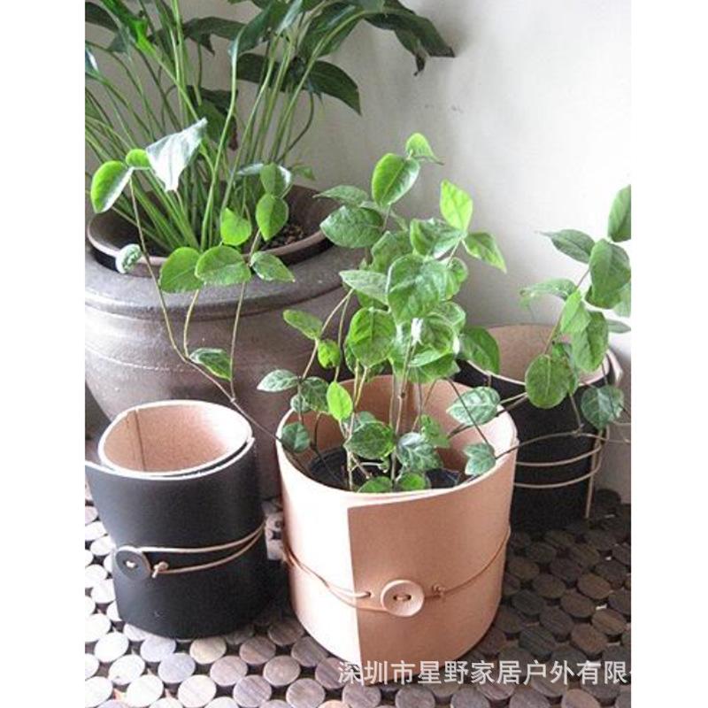 花盆卷