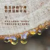 Aceite Esencial de Bálsamo de Cuba, Aceite Esencial de Región Brasileña, Aceite Esencial para Masaje, Aceite Esencial Único, Venta al por Mayor de Materia Prima, Uso para Muestreo Industrial