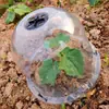 Cubierta de Aislamiento para Plántulas Transparente Transpirable Cubierta Cálida para Plantar Plantas Jardines en Crecimiento Horticultura Protección contra Plagas y Pájaros