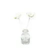 Accesorios de Aromaterapia: Varillas Aromáticas de Flor de Tongcao, Varillas Difusoras Universales de Alta Calidad para Interiores de Cabeza Única de Rosa Tongcao, Decoración Aromática