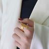 Anel Simples de Aço Titânio Europeu e Americano Design Feminino Nicho Simples Pena Dourada 18k Geométrico Celebridade da Internet Anel Personalizado