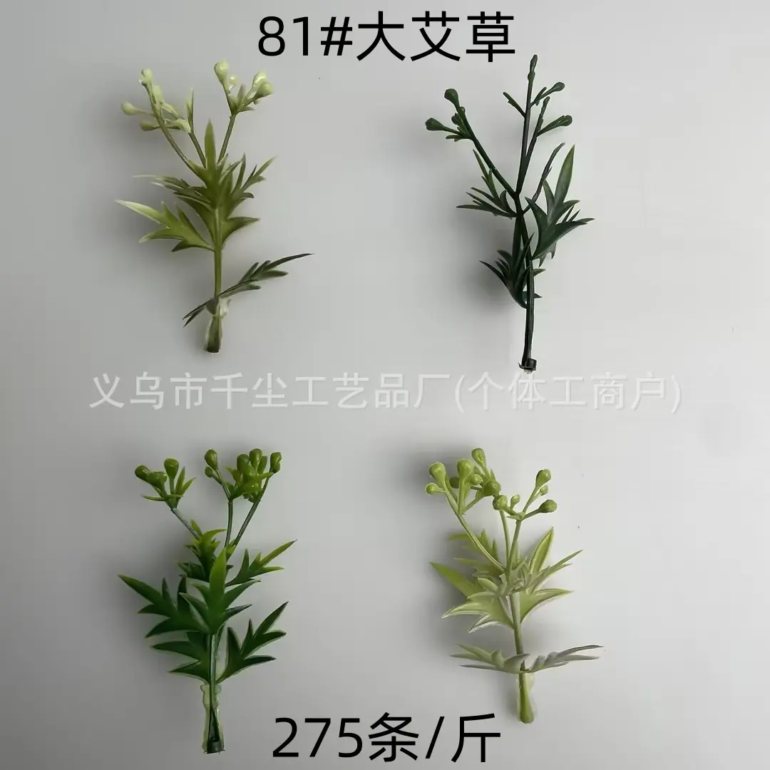 81#大艾草.jpg