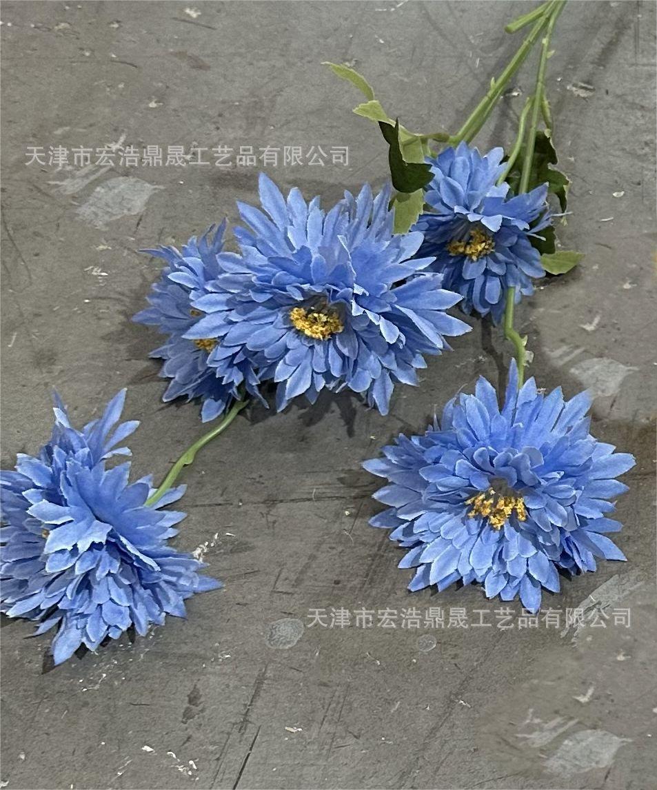 微信图片_20230723132443(1)