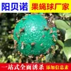 Fábrica mayorista de bolas para moscas de la fruta trampa para abejas citrus aguja bola para moscas melón moscas de la fruta palo bola para gusanos bola amarilla bola verde trampa bola