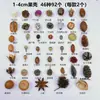 Fruta Fixa Natural Planta Fruta Casca Espécime Material Decoração Flores Secas Fatias Jardim de Infância DIY Pacote de Material de Natal