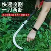 Hoz de Acero de Alto Manganeso, Cuchillo en Forma de Hoz, Cuchillo para Cortar Hierba, Cuchillo Pequeño Curvo, Hoz para Cortar Maíz, Cuchillo para Nueces de Betel, Herramienta para Exteriores para Cosechar Tallos de Maíz