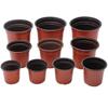 Maceta para Plántulas Bicolor Maceta de Nutrición Plástico para Plantar Desechable Esqueje Engrosado Grande Cultivo Fresa Carnosas Flores