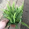 Plantas de Piedra Absorbente Plantas Verdes Piedra de Agua Acuaterrario Tanque de Selva Rocalla Paisajismo Musgo Helecho Micro-paisaje Plantas de Bonsái