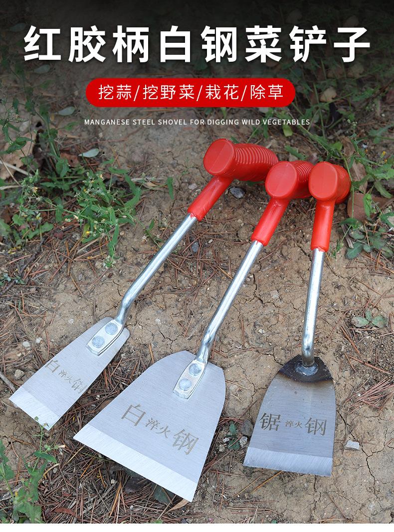 详情_01.jpg