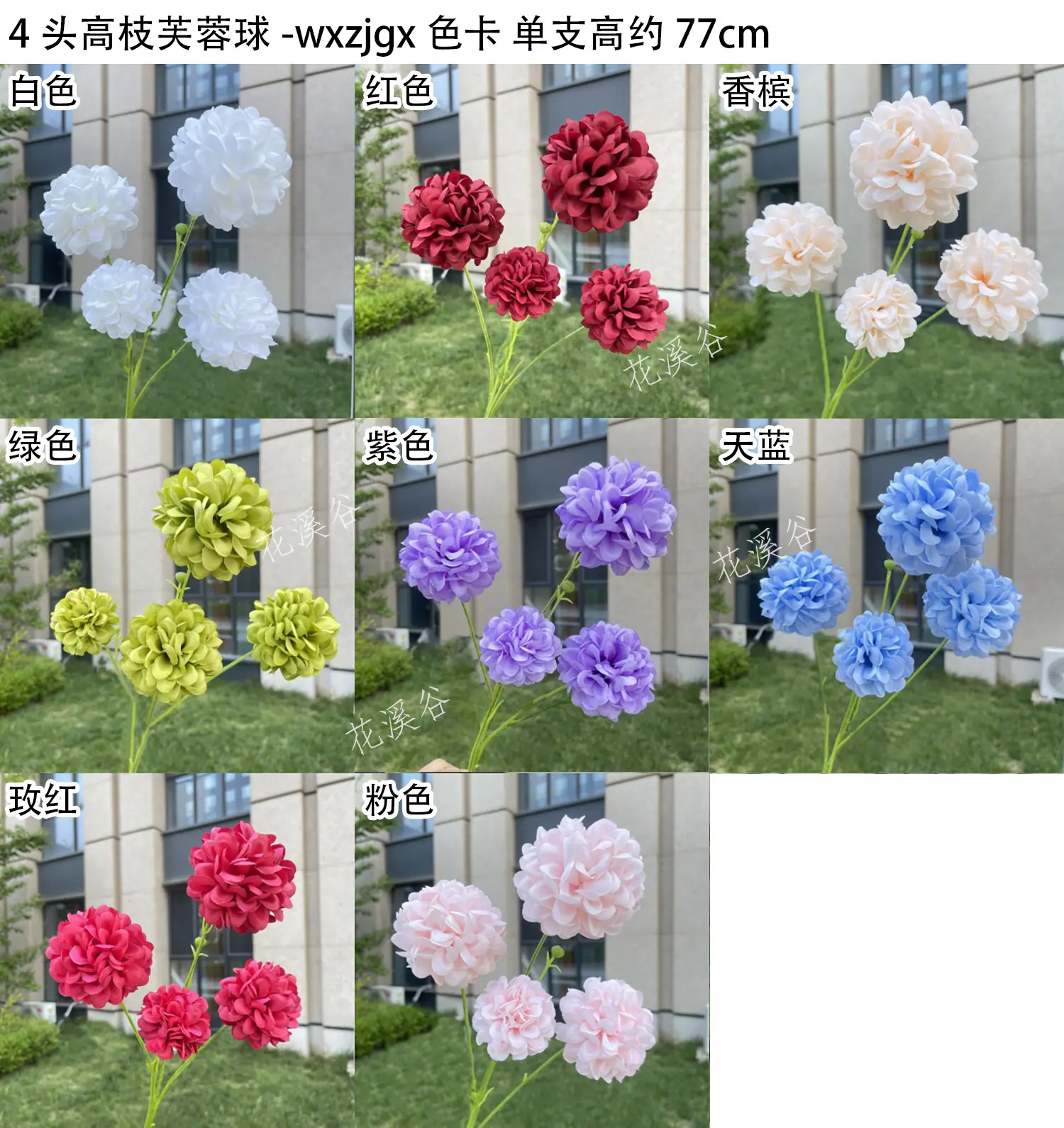 4头高枝芙蓉球-wxzjgx 色卡 花溪谷.jpg