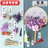 Paquete de materiales DIY Tuanfan 38º Tuanjian Estilo Nacional Estilo Chino Flor Seca Abanico Redondo Hecho a Mano Abanico de Flor Eterna en Blanco