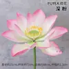 Flor de loto artificial de PU con tallo, hojas de loto artificiales, elemento acuático, decoración de escenario, accesorio para fotografía de paisajes.