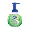 Shufujia Limpiador de Manos Antibacteriano de Espuma Camelia Manzana Verde Flor de Cerezo Té Blanco Hidratante Infantil Hogareño Productos Genuinos Marca