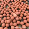 Esfera Absorvente de Oleosidade de Pedra Vulcânica para Rosto e Pescoço Controle de Oleosidade Esfera Absorvente de Oleosidade 21-22mm Bastão Absorvente de Oleosidade de Pedra Vulcânica Esfera Absorvente de Oleosidade