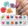 Nueva joyería de uñas transfronteriza, caja de 12 rejillas con flores secas, margaritas, estrellas, joyería de uñas natural DIY al por mayor