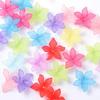 Explosões Cinco-pétalas Cor Pérola Bauhinia Material Acetato Pétalas DIY Antiga Hanfu Grampo de Cabelo Contas de Pérolas