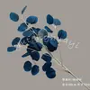 Folhas de Maçã Artificiais, Folhas de Eucalipto, Folhas Redondas, Folhas de Dinheiro, Arranjos Florais de Casamento em Forma de T, Arranjos Florais Decorativos, Folhas para Atacado Transfronteiriço