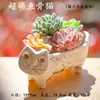 Directo de fábrica maceta de cerámica creativa de flores carnosas linda cola de gato caricatura animal tridimensional mono columna de cola cactus