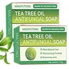 Jabón Antibacterial de Árbol de Té Tk de Amazon Más Vendido Transfronterizo para Limpieza Facial y Corporal, Eliminación de Ácaros, Control de Grasa, Hidratante con Aceite Esencial Jabón Artesanal