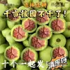 Un Sombrero Oficial Grande con Cabeza de León y Patrón de Unicornio, Hecho de Cuero Verde, Se Usa para Jugar con Nueces. el Cuero Verde Puede Producir una Forma de Tres o Cuatro Lados
