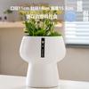 Vaso de Flores Cerâmico com Prato Doméstico Exquisito Estilo Ins Branco Luxo Leve Estilo Creme Simples Vaso para Flores Phalaenopsis Suculentas