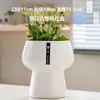 Maceta de Cerámica con Plato para Uso en el Hogar, Exquisita Estilo Ins Blanco Lujo Ligero Minimalista Estilo Crema Maceta para Orquídeas Suculentas