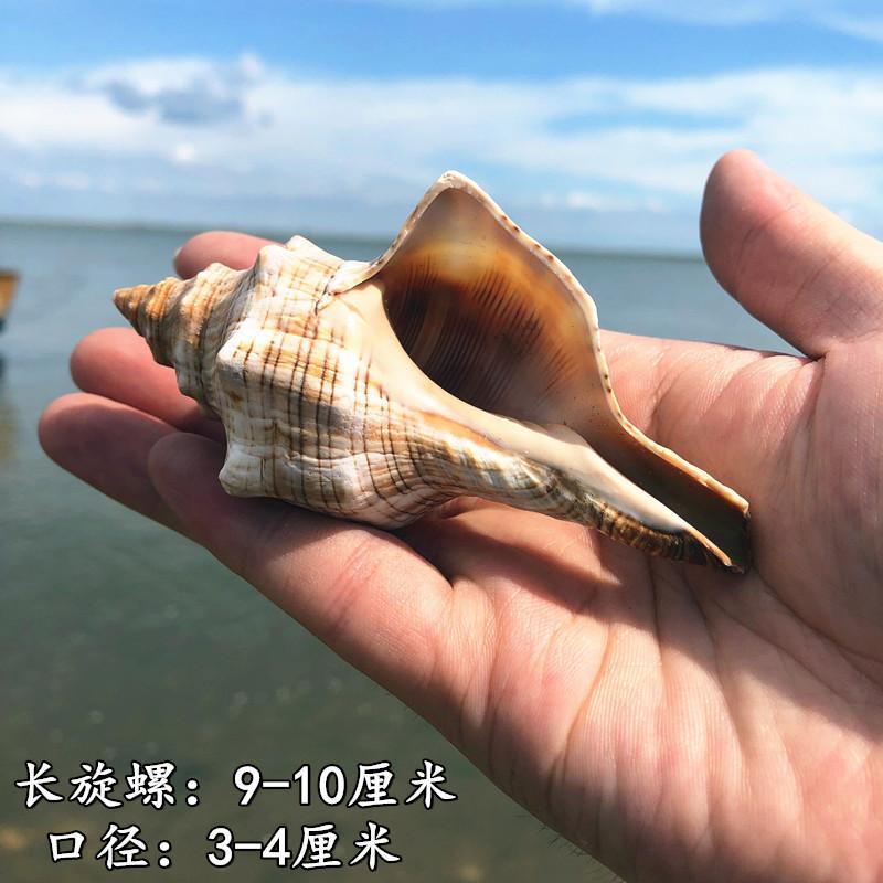 QQ图片20190901111532.jpg