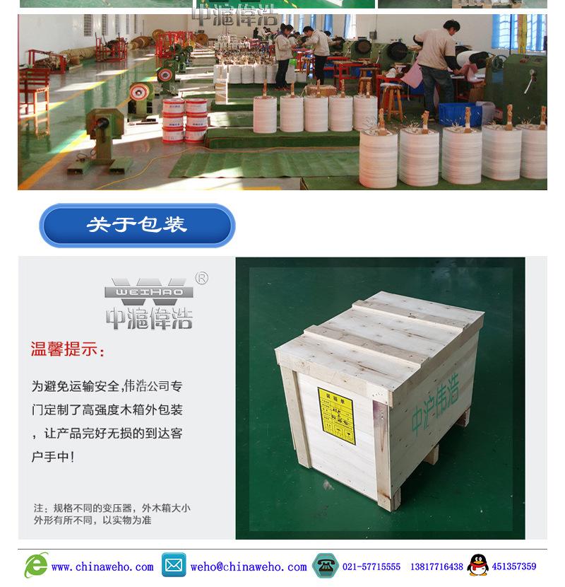 C-WHSG大功率_01 (12)