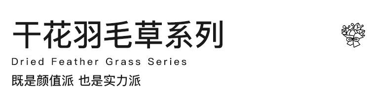 羽毛草_01.jpg