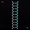 Componente Modelo de la Estructura de Doble Hélice del ADN J3242 Equipo de Experimento Biológico Instrumento de Enseñanza para Estudiantes de Secundaria