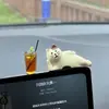 Pantalla de coche de gato adornos pequeños accesorios para coche decoraciones de consola central de coche accesorios pequeños para coche eléctrico