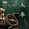 Pulsera de Cuentas Aromáticas de Cinco Elementos de Medicina Tradicional Natural China, Aroma Herbal de Cinco Ingredientes, Mismo Estilo que la Pulsera de Medicina Tradicional del Hospital Chino, Cuentas Budistas para Hombres y Mujeres