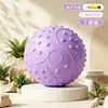 Pelota de Yoga para Moldear, Entrenamiento de Pilates, Pelota de Fitness para Músculos del Suelo Pélvico, Engrosada y Antiexplosión, para Levantar Glúteos y Entrenamiento de Músculos del Suelo Pélvico