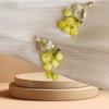 Brinco de Presilha para Orelha Amethyst Grape Bunch Natural para Mulheres Estilo Japonês Design Fofo Brincos de Frutas Frescos e Criativos