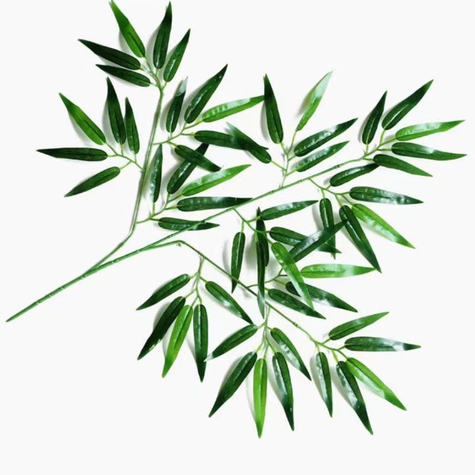 竹子3