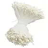 Transfronterizo 2 mm Aproximadamente 400 Piezas 170 Centros de Flor Mate Núcleo de Flor Flor Artificial Estambres de Yeso Rosa Lirio Materiales