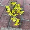 Buquê amarelo multi-cabeça longo ramo rosa peônia hortênsia amarelo claro casamento estrada de casamento fundo de chumbo flor falsa flor de seda