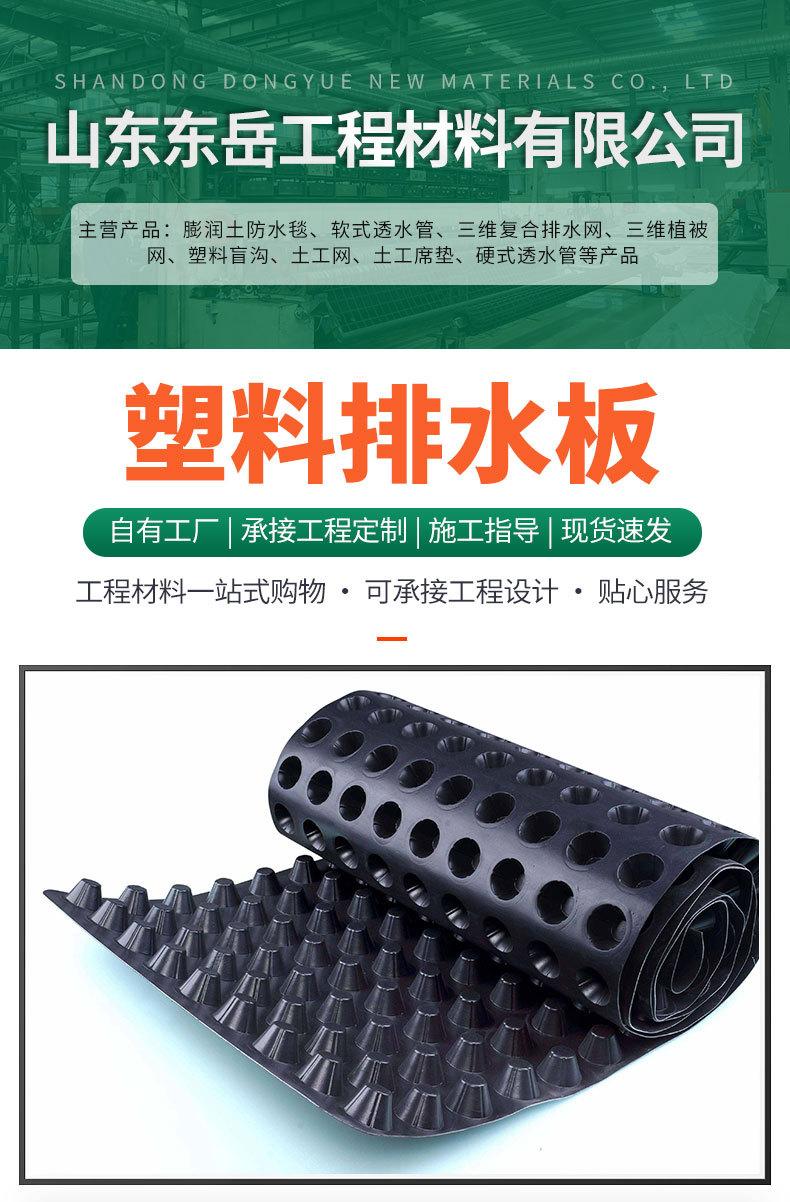 塑料排水板_01.jpg