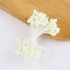 5mm Colorido Espuma Rosa Estames Flor Dupla Cabeça Miolo Flor Envolto Flor DIY Artificial Estilo Antigo Estame Flor Grampo Cabelo Joia Material