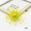 Flor de Seda Sintética Alfineteiro de Plástico Cabeça de Crisântemo Adereço de Cabelo Presilha de Cabelo Flor Artificial Falsa DIY Decoração de Chapéu de Formatura Pinça de Caranguejo Crisântemo Flor Artificial