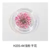 Estilo Ins japonés flor seca para uñas joyería pétalos pequeños Cielo Estrellado 12 rejillas colorida encaje flor decoración de uñas flor