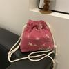 Bolsa pequeña de cordón suave de moda de este año para mujer 2024 primavera todo-combinable ins bolso de hombro bandolera bolso de cubo