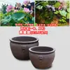 Aquário Extra Grande com Vaso de Lótus Vintage, Peixe Dourado de Boca Larga, Cabeça de Leão Queimada Simples, Areia Roxa Respirável para Plantar Flores no Pátio ou ao Ar Livre