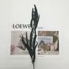 Flores Eternas DIY Frutos de Mijo Hojas de Eucalipto Multicolor Decoración del Hogar Accesorios para Fotografía de Bodas Adornos Arte Floral