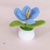 Tulipa em Crochê com Ponto Aberto em Vaso Planta de Mesa Decoração para Casa Pequeno Ornamento Presente Flor Artificial Tecida Pronta